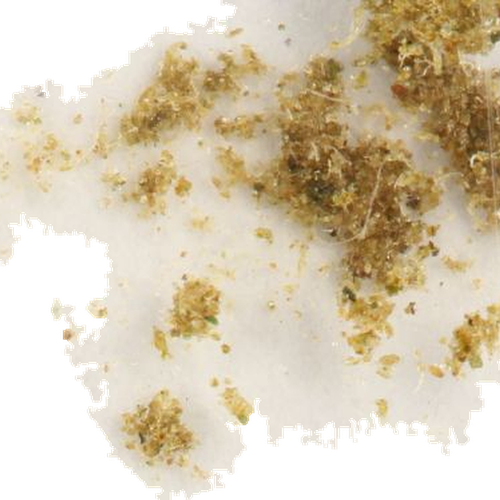 Cannabis Mit Delta 8 THC pill — CBDA (3.2%); Freies CBD (0.8%); CBD (3.6%); CBN (0.2%); Freies THC (16.4%); THC (16.4%); Delta-8-THC — Zürich, Switzerland