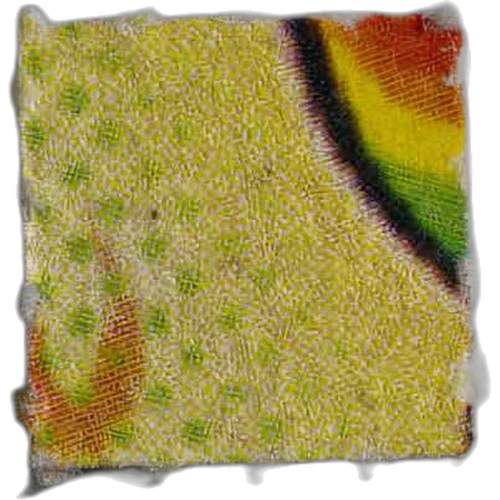 Spongebob pill — LSD (65µg); iso-LSD (41µg) — Marseille, France