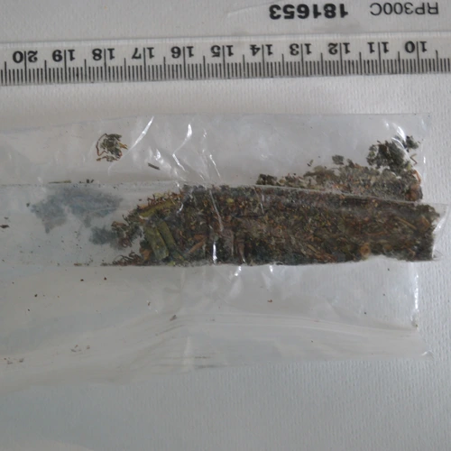 No pill — MDMB-4en-PINACA; MDMB-INACA; Nicotine — Plymouth (PL1), England