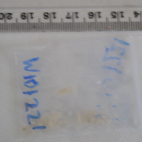 Grey 4mmc pill — 4-MMC — Halton; Knowsley; Liverpool (L24), England