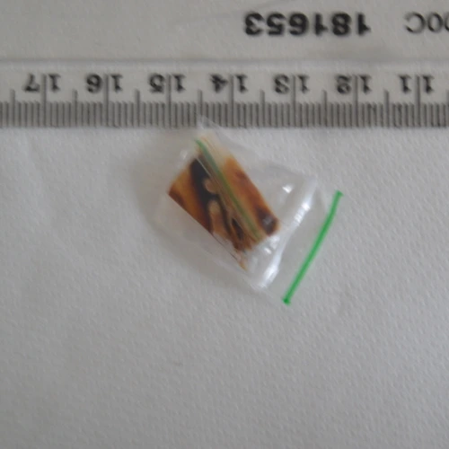 Caffeine; Heroin; 6-MAM; Noscapine; Paracetamol; Acetylcodeine; Etonitazene; Papaverine — Cardiff (CF10), Wales