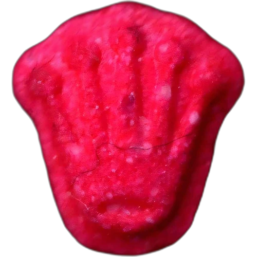 Rolex pill — MDMA (168mg) — Barcelona, Spain