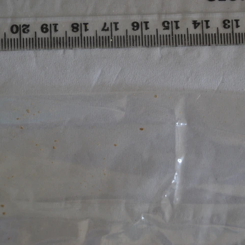 Cocaine; Benzoylecgonine — Newport (NP20), Wales