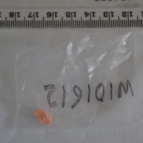 Caffeine; Methamphetamine — Wiltshire (BA14), England