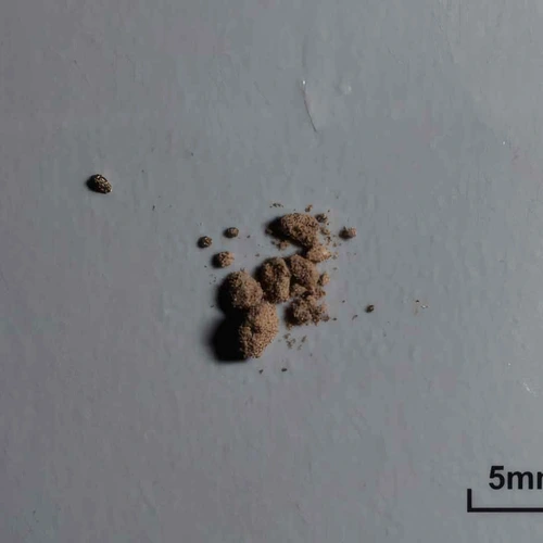 Heroin (6%); Paracetamol (49%); Caffeine (24%); Noscapine; Unknown — Marseille, Франция