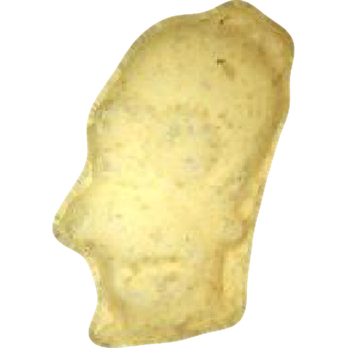 Homer Simpson, NL hapı — 2