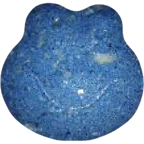 حبّة Cookie Monster — 2