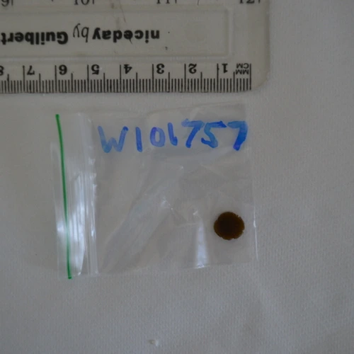 Gorillla Glue Filtered Hash pill — CBD — Surrey Heath; Woking (GU21), England