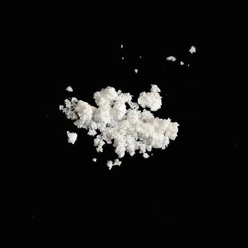 NEP (90%) — Berlin, Germany