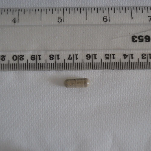 Mushroom pill — Caffeine; Psilocin — Bromley; Croydon; Tandridge (CR69), England