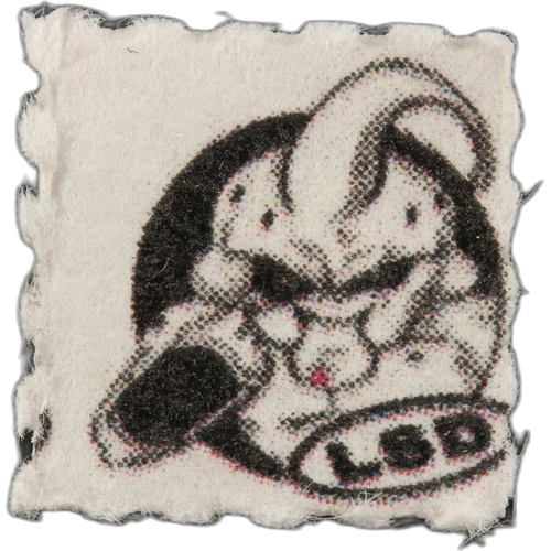 Tabletka Majin Buu, Dragon Ball — 2