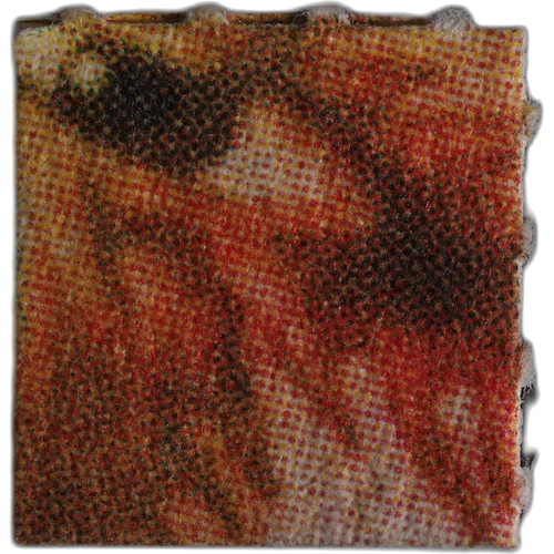LSD Filz; Unknown tabletta — LSD (154µg) — Bern, Svájc