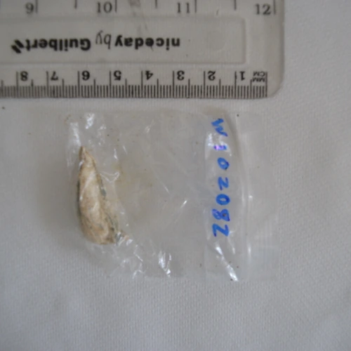 Psilocin — East Cambridgeshire; West Suffolk (CB7), England