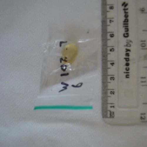 Temazepam tabletta — Etizolam — Preston; South Ribble (PR19), England