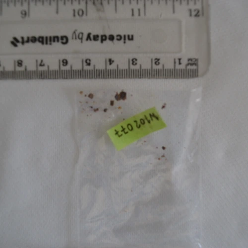 Tableta 5 Meo DMT — 5-MeO-DMT; 2-FDCK — Cambridge; South Cambridgeshire (CB24), England