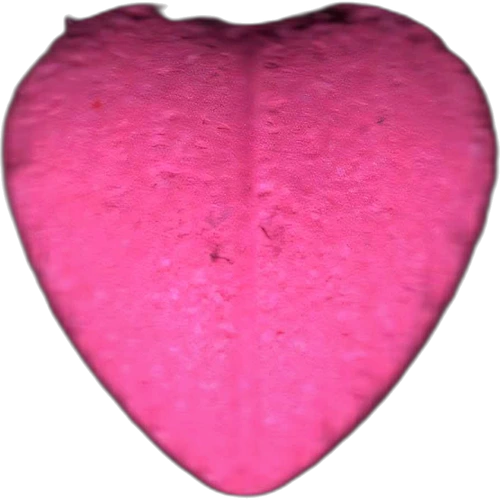 Χάπι Love — 2