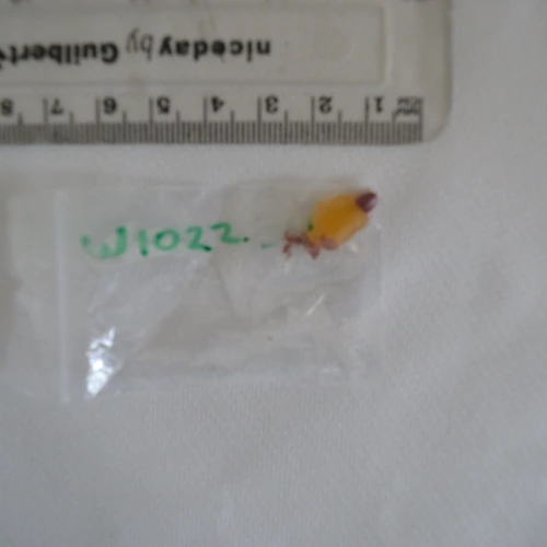 Tableta THC Gummie — Nicotine; THC — Cotswold; Stratford-on-Avon; Tewkesbury; Wychavon (WR11), England