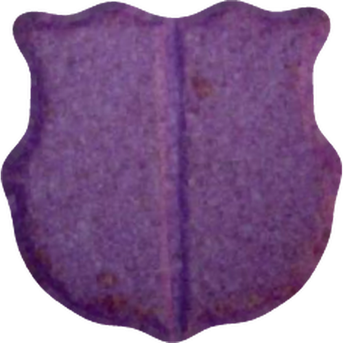 FC Barcelona pill — MDMA (105mg) — Vienna, Austria