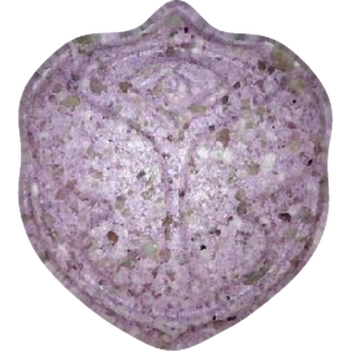 Tomorrowland pill — MDMA (230mg) — Vienna, Austria