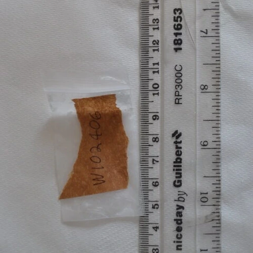 Ketamine — City of Edinburgh (EH13), United Kingdom