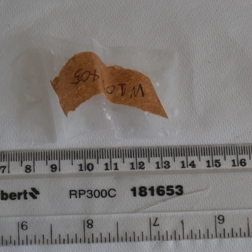 Cocaine; Norcocaine; Benzoylecgonine — City of Edinburgh (EH13), Wielka Brytania
