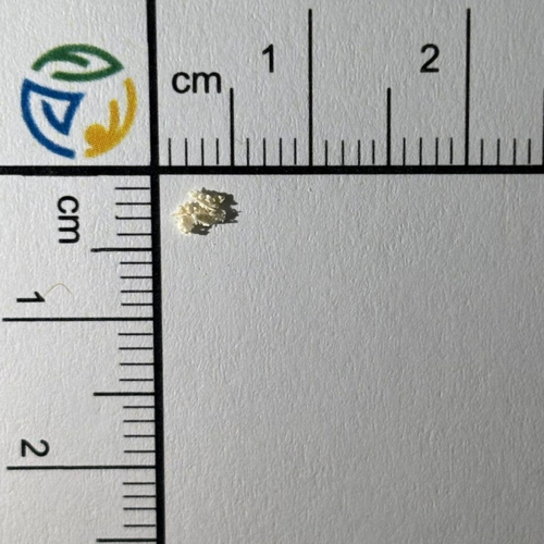 Amphetamine (83%) — Ljubljana, Slovenia