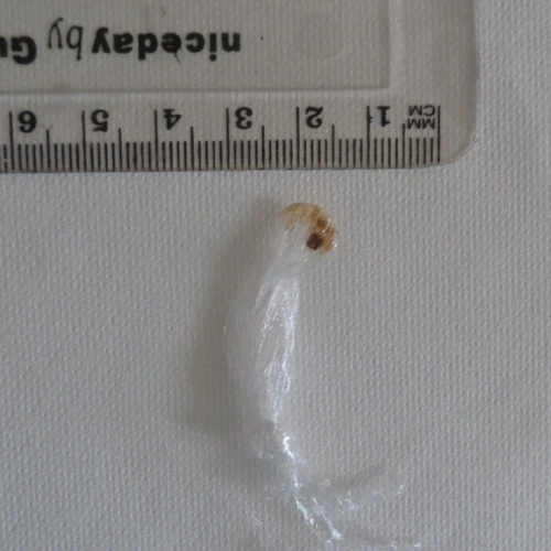 Tableta MDMA — MDMA — Mid Suffolk; South Norfolk (IP21), England