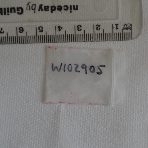 Cocaine — Sheffield (S10), England