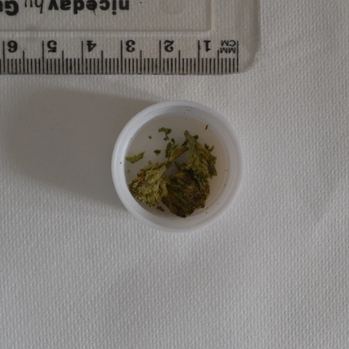 CBG; THC — Ashfield; Mansfield (NG17), England