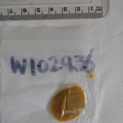 White Gold Melt 68% Thca таблета — CBD; CBG; CBN; THC — Tameside (M34), England