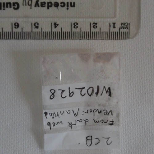 Tableta 2cb — 2C-B; 2C-H — Colchester (CO1), England