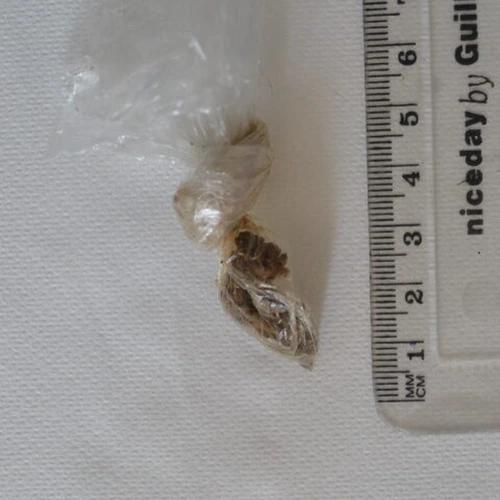 CBG; CBN; THC — Neath Port Talbot; Swansea (SA1), Wales