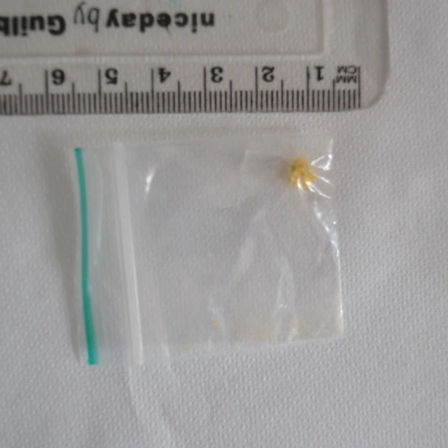 Pillola MDMA — MDMA — Brighton and Hove; Lewes; Mid Sussex (BN1), England