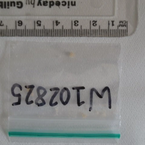 Pillola MDMA — MDMA — Cheshire West and Chester; Flintshire (CH15), England; Wales