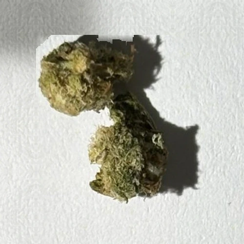 MDMB-PINACA; CBD — Словенія