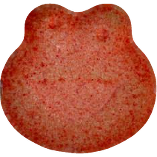 Cookie Monster tablete — 2