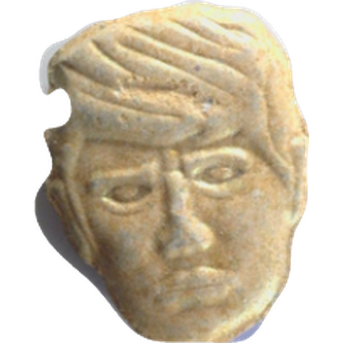 Trump hapı