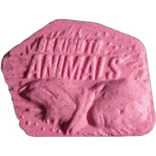 Be Kind To Animals pill