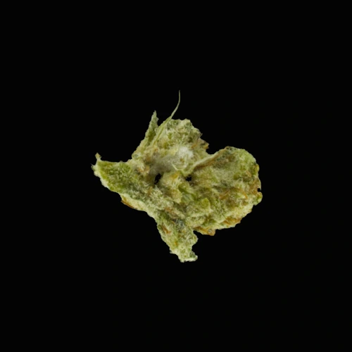 Таблетка THC (1.1%); CBD (17.0%); EDMB-PINACA