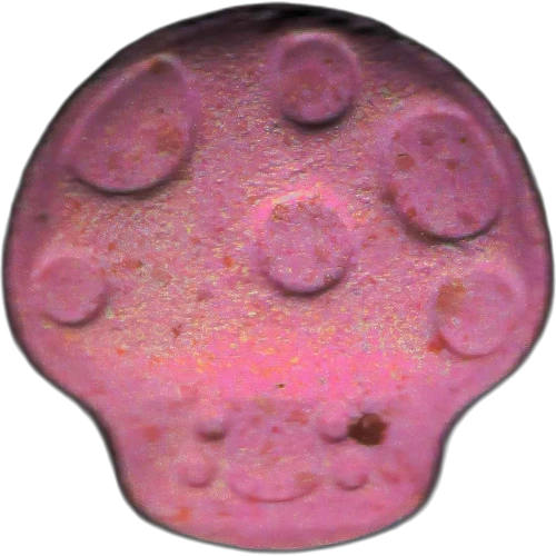 Pillola Mushroom — 2