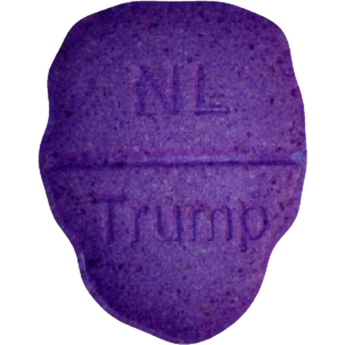 Piolla Trump, NL — 2