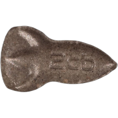 Piolla NASA