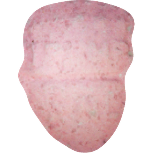 Piolla Trump, NL — 2