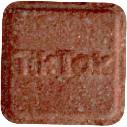 Piolla TikTok — 2