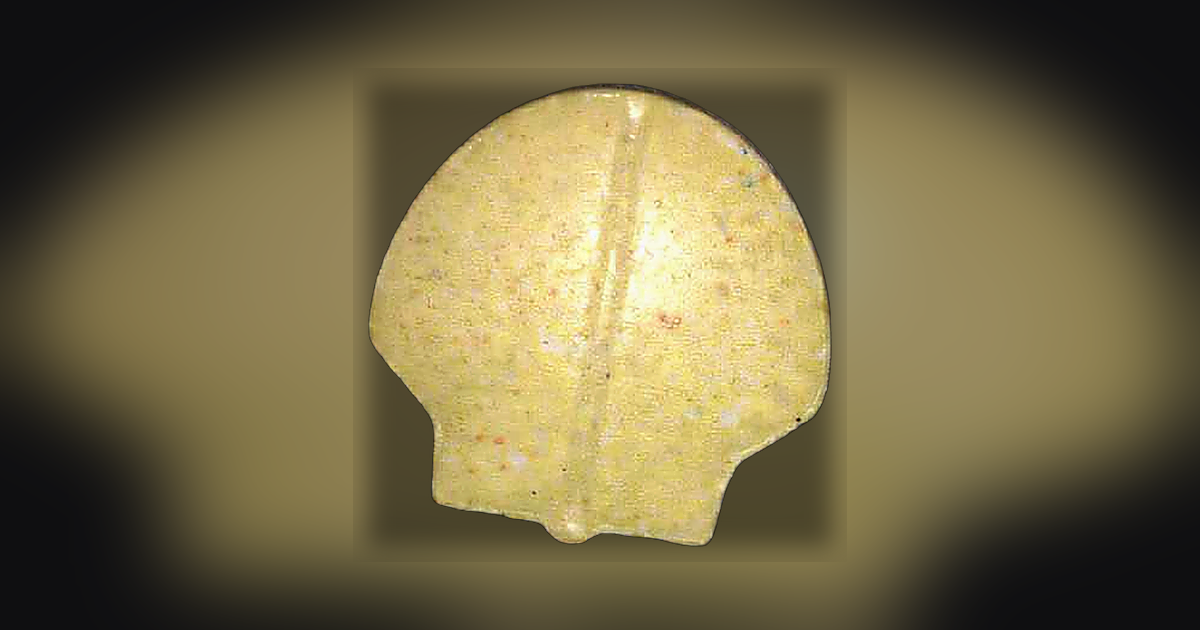 Shell