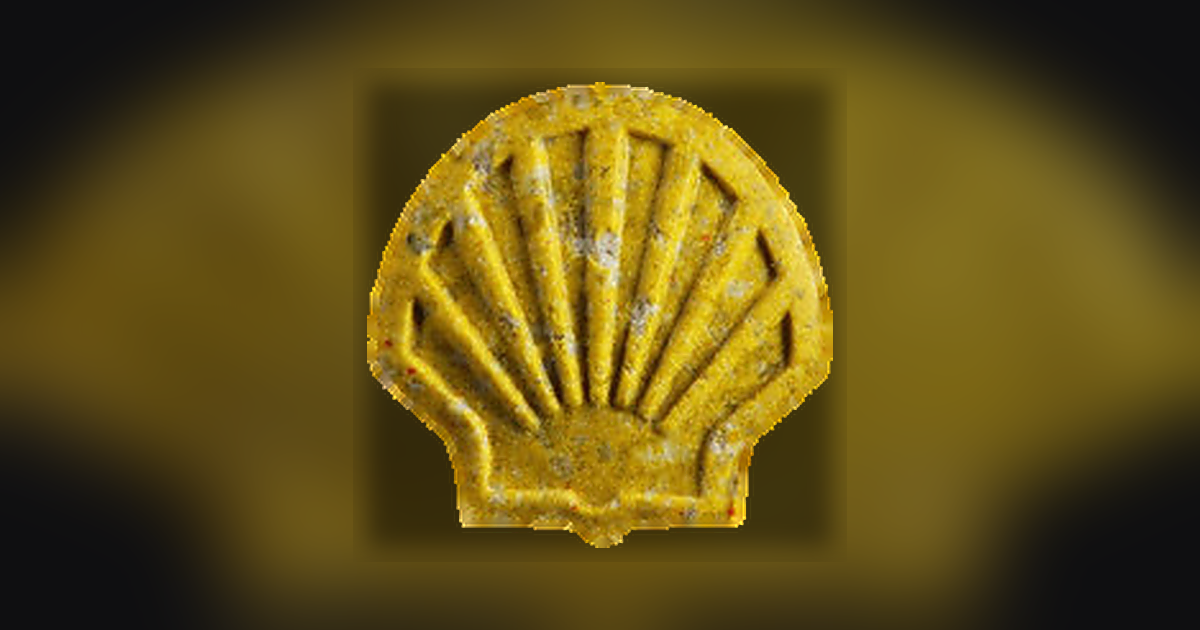 Shell