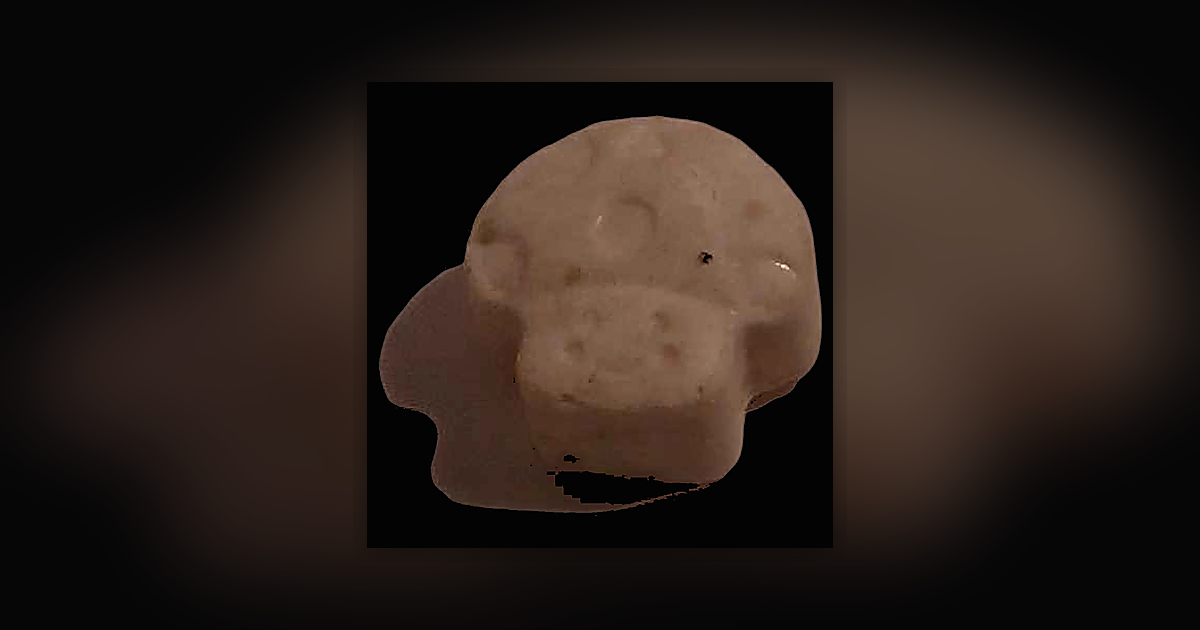 Mushroom