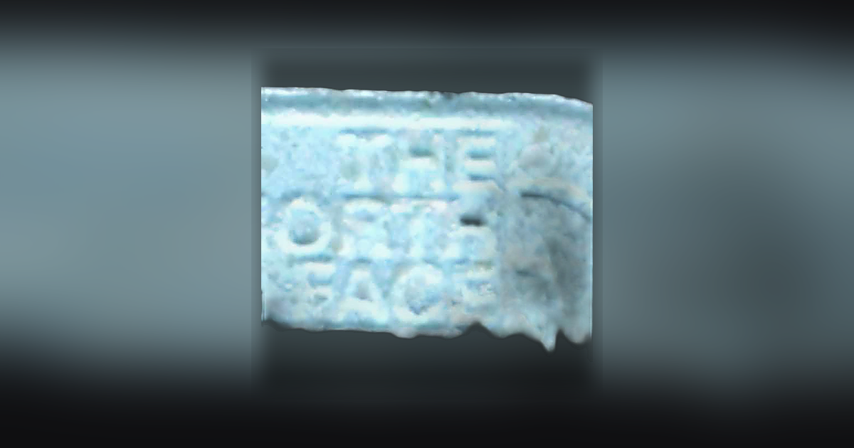 The_northface