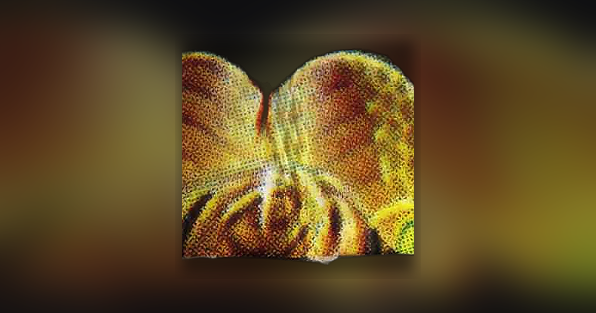 LSD (277ug)