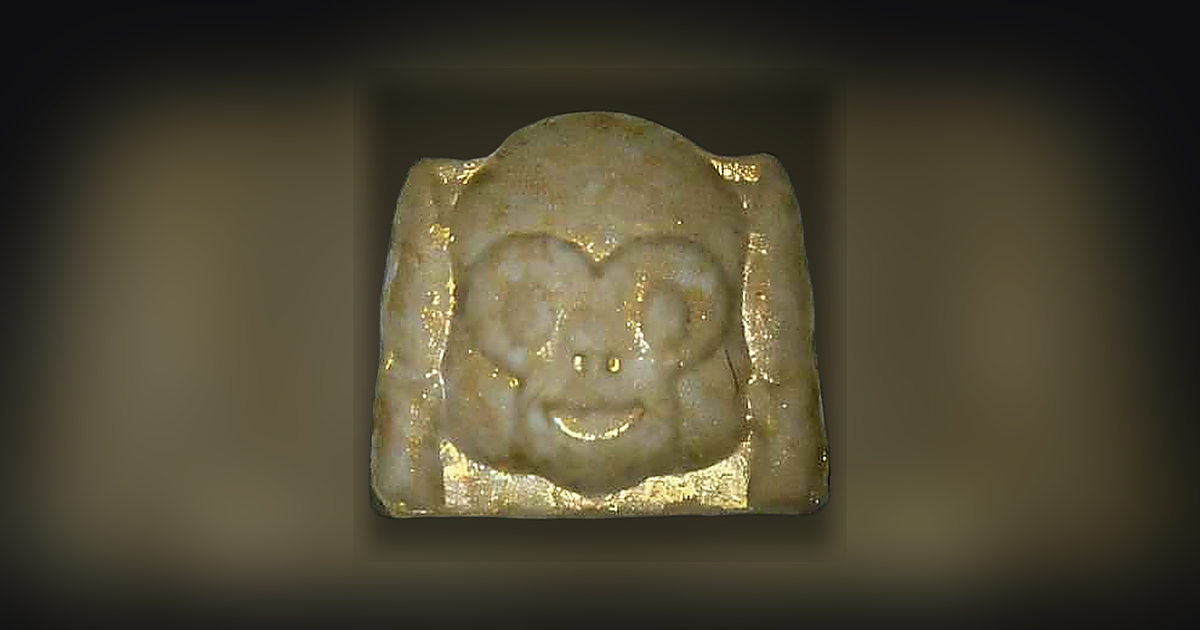 Monkey
